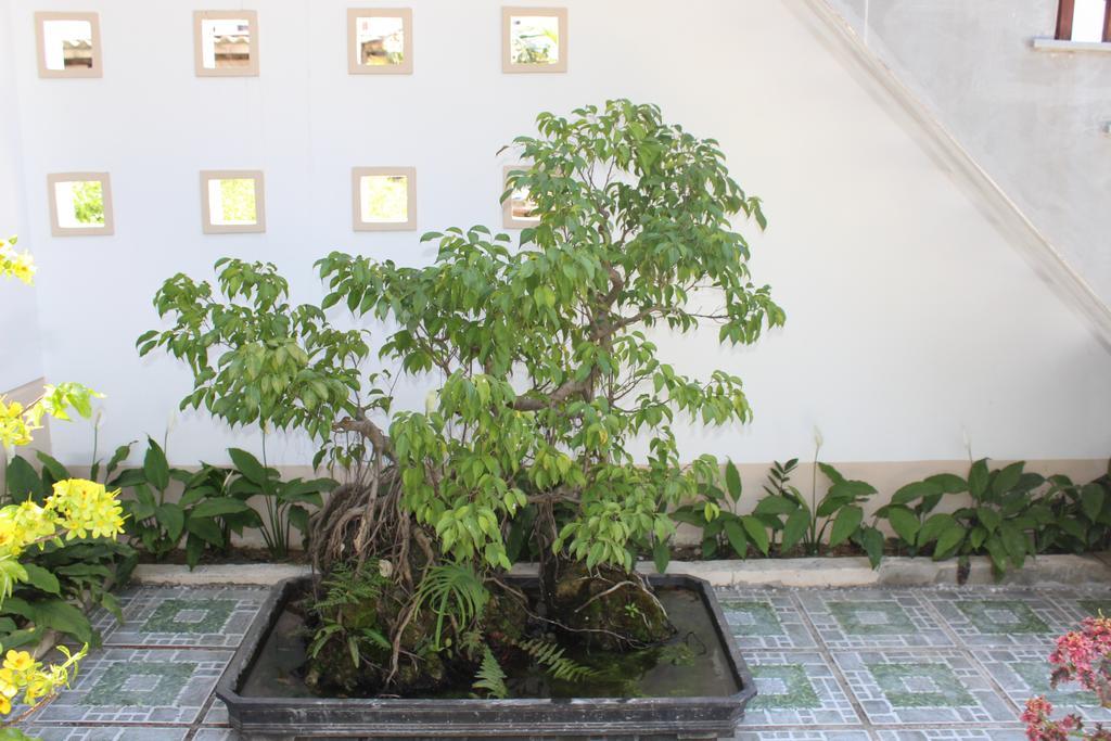 Hoian Joy Homestay Hoi An Eksteriør bilde