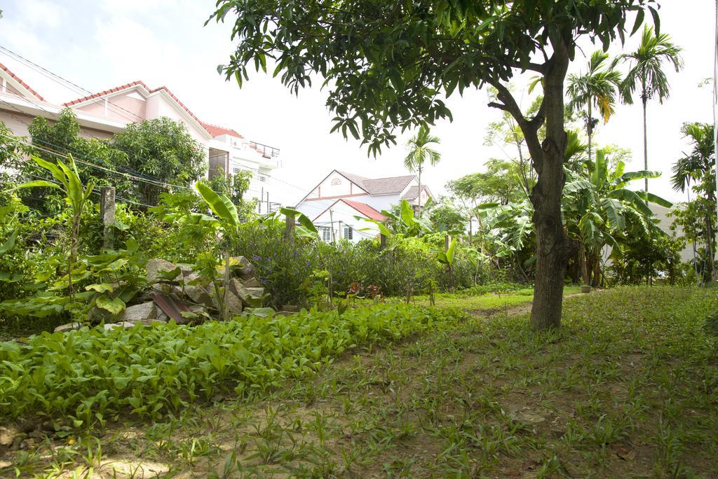 Hoian Joy Homestay Hoi An Eksteriør bilde