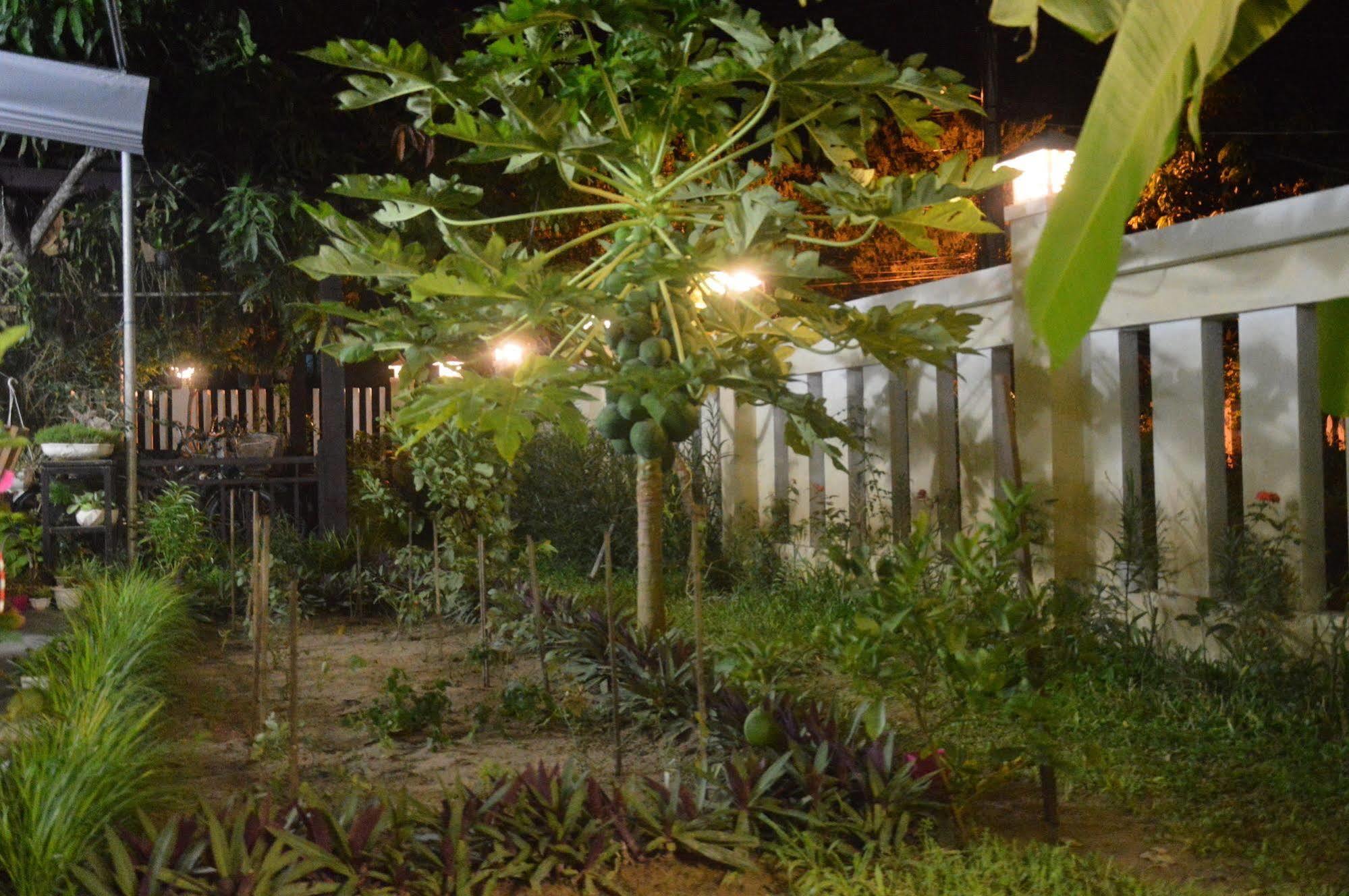 Hoian Joy Homestay Hoi An Eksteriør bilde